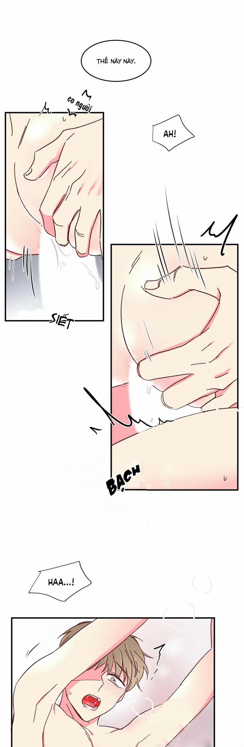 Món Tráng Miệng Của Sếp Tổng 48 trang 23