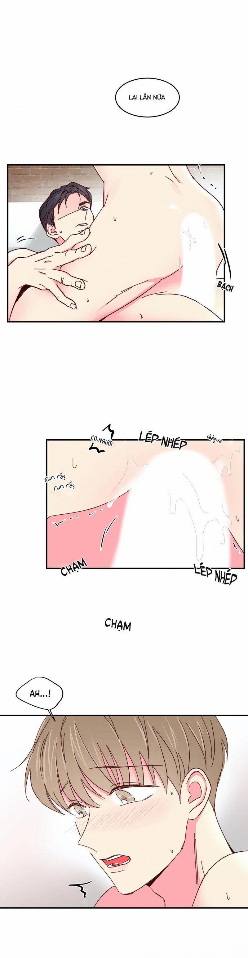 Món Tráng Miệng Của Sếp Tổng 48 trang 6