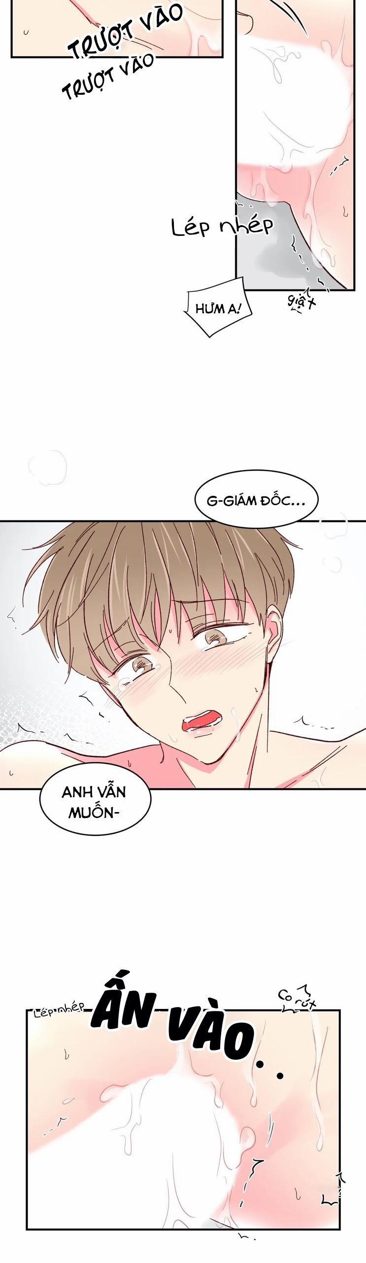 Món Tráng Miệng Của Sếp Tổng 49 trang 16