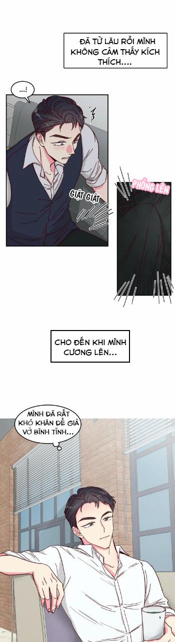 Món Tráng Miệng Của Sếp Tổng 5 trang 10