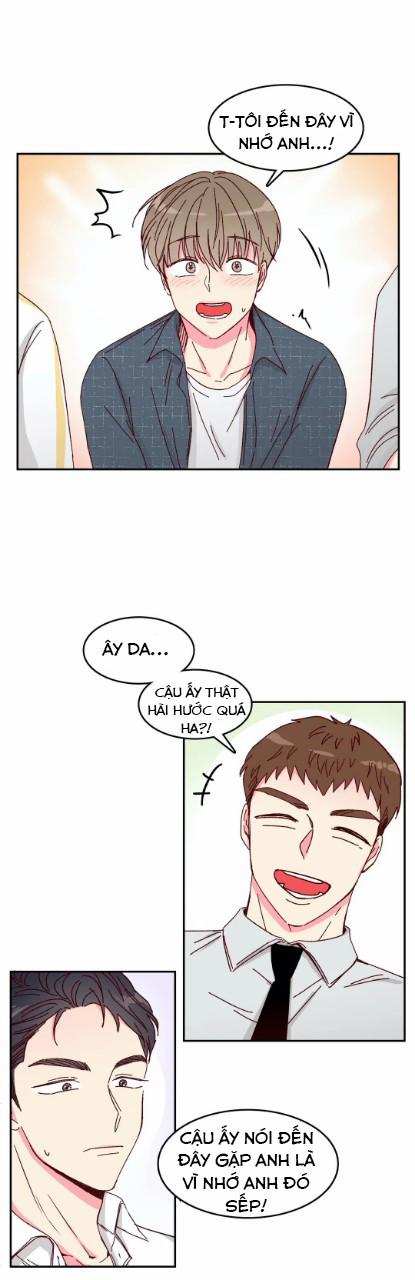 Món Tráng Miệng Của Sếp Tổng 5 trang 13