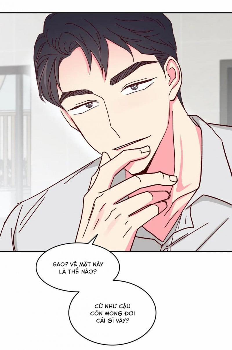 Món Tráng Miệng Của Sếp Tổng 50 trang 19