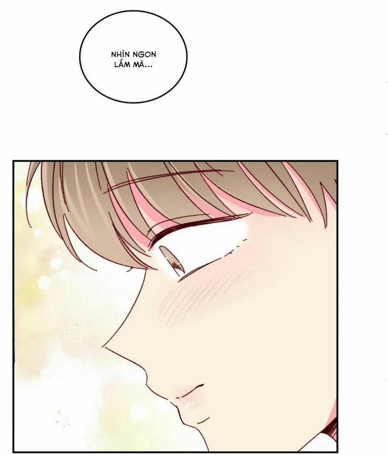 Món Tráng Miệng Của Sếp Tổng 50 trang 37