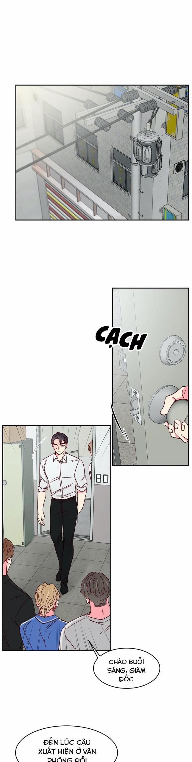 Món Tráng Miệng Của Sếp Tổng 51 trang 11