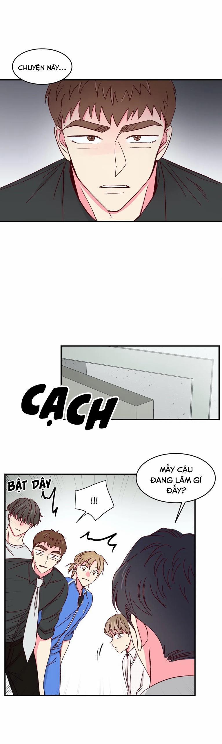 Món Tráng Miệng Của Sếp Tổng 51 trang 22