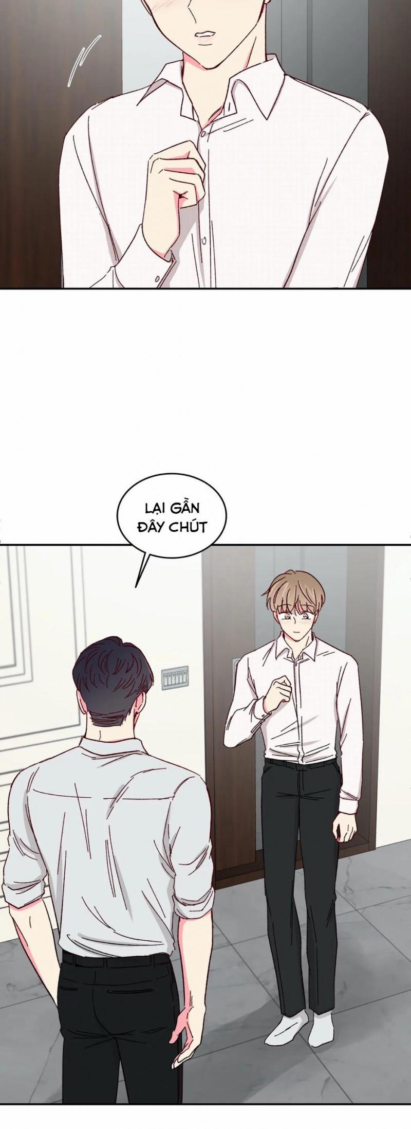 Món Tráng Miệng Của Sếp Tổng 51 trang 4