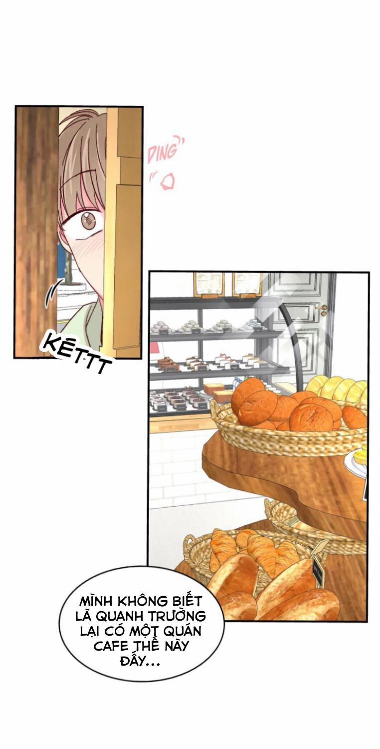 Món Tráng Miệng Của Sếp Tổng 54 trang 23