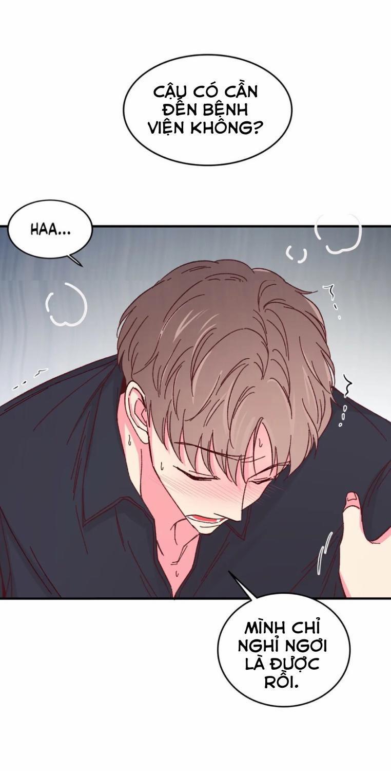 Món Tráng Miệng Của Sếp Tổng 54 trang 33