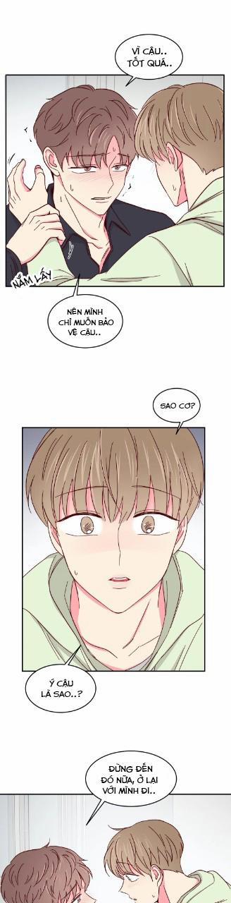 Món Tráng Miệng Của Sếp Tổng 55 trang 12