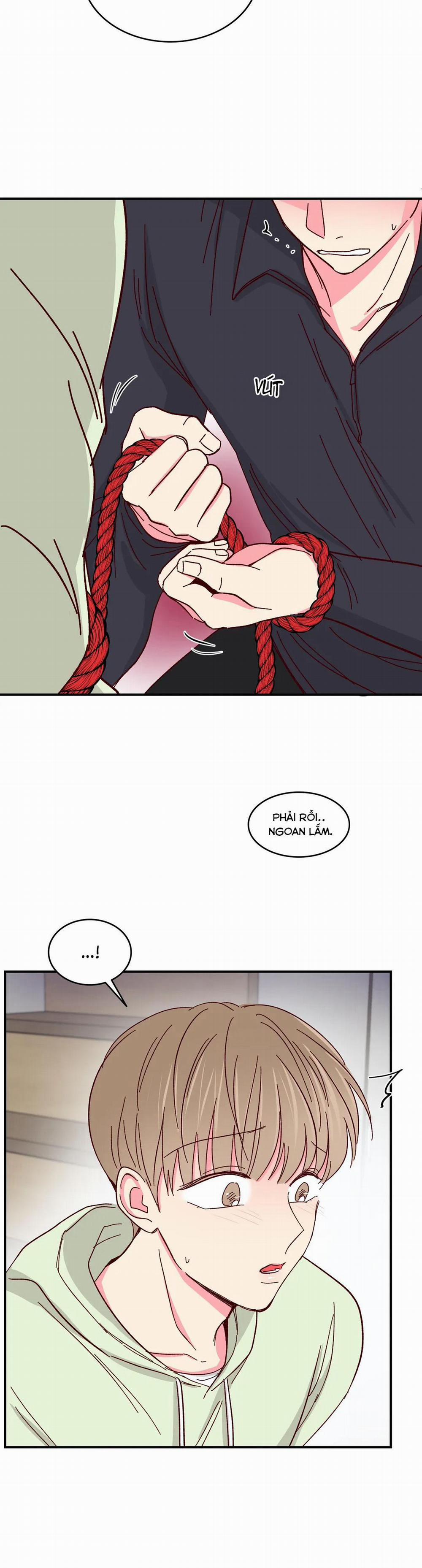 Món Tráng Miệng Của Sếp Tổng 56 trang 16