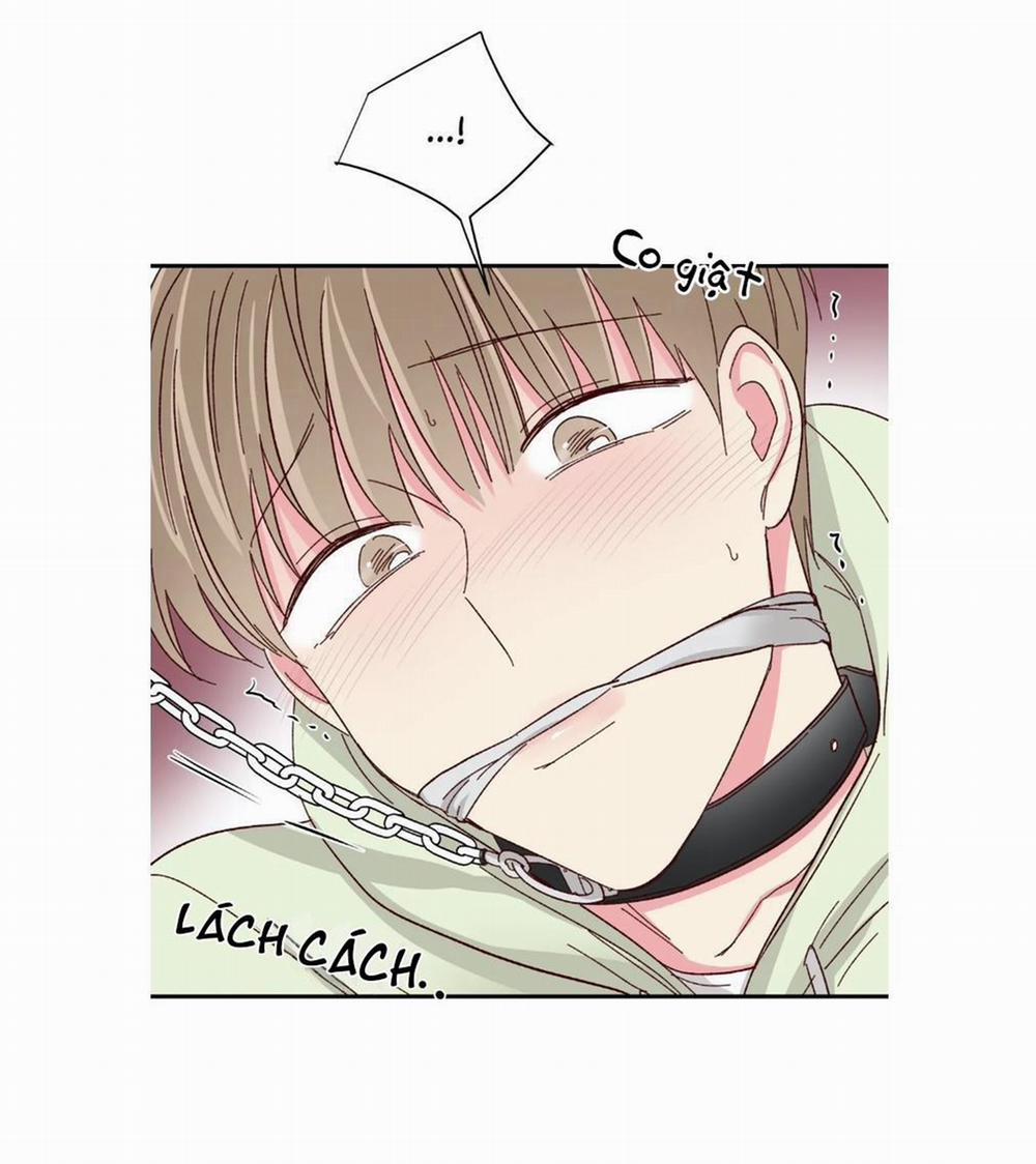 Món Tráng Miệng Của Sếp Tổng 57 trang 15