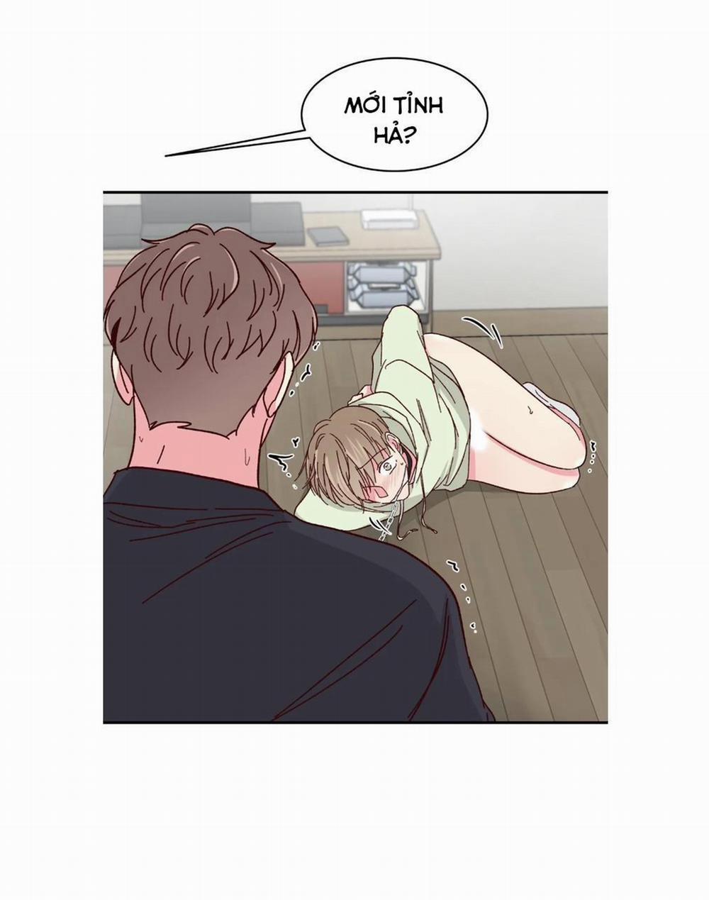 Món Tráng Miệng Của Sếp Tổng 57 trang 16