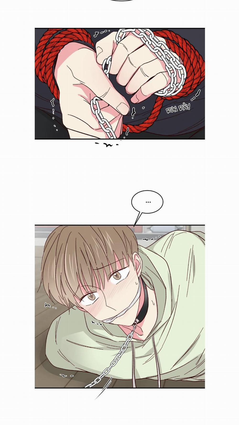 Món Tráng Miệng Của Sếp Tổng 57 trang 19