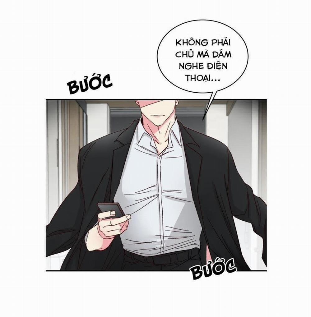 Món Tráng Miệng Của Sếp Tổng 57 trang 43