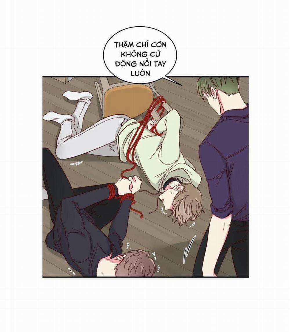 Món Tráng Miệng Của Sếp Tổng 57 trang 5