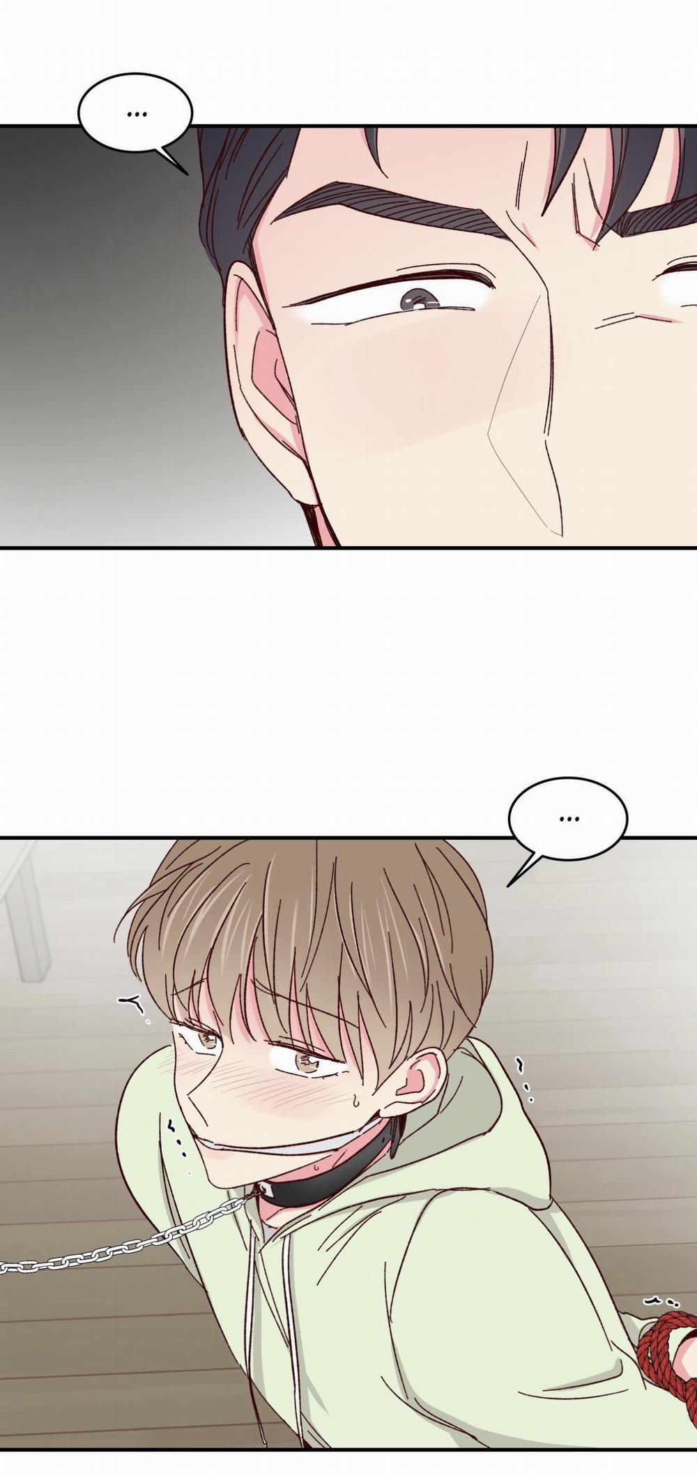 Món Tráng Miệng Của Sếp Tổng 58 trang 3