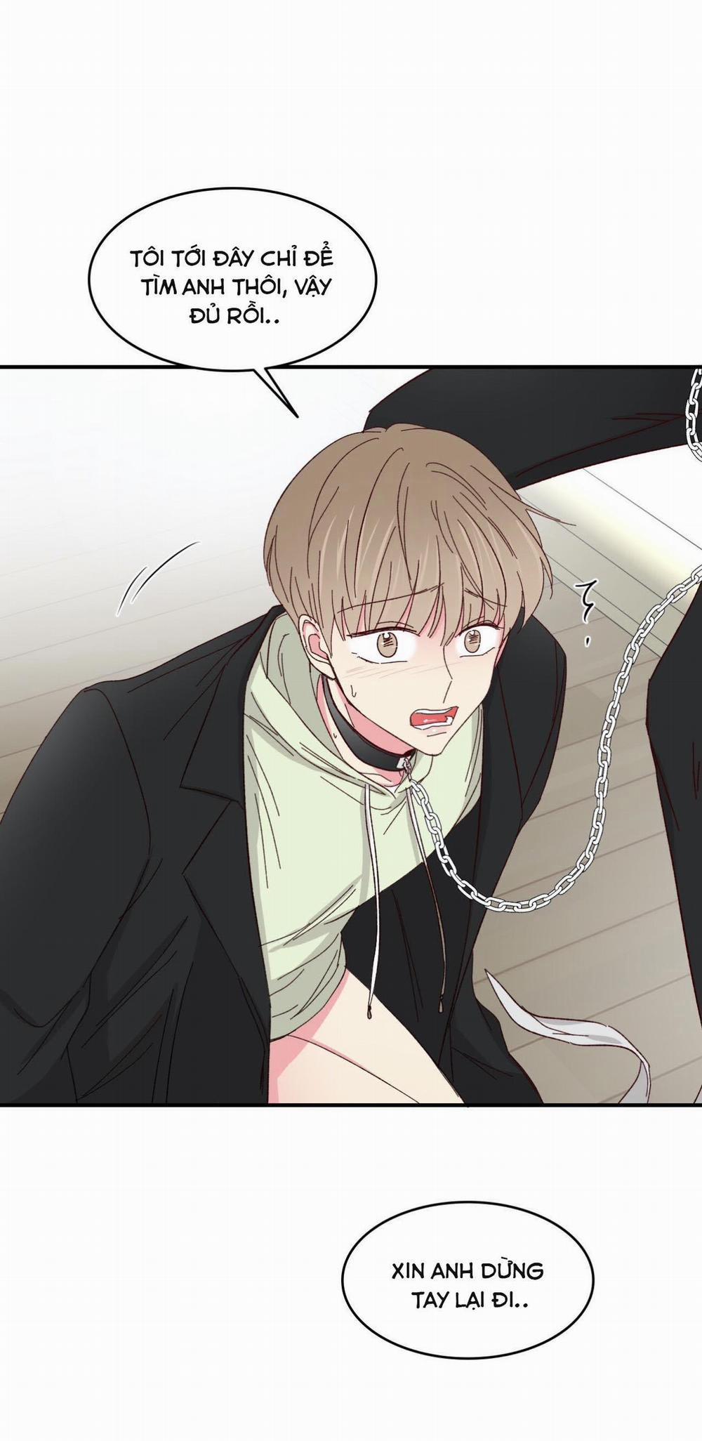 Món Tráng Miệng Của Sếp Tổng 58 trang 42