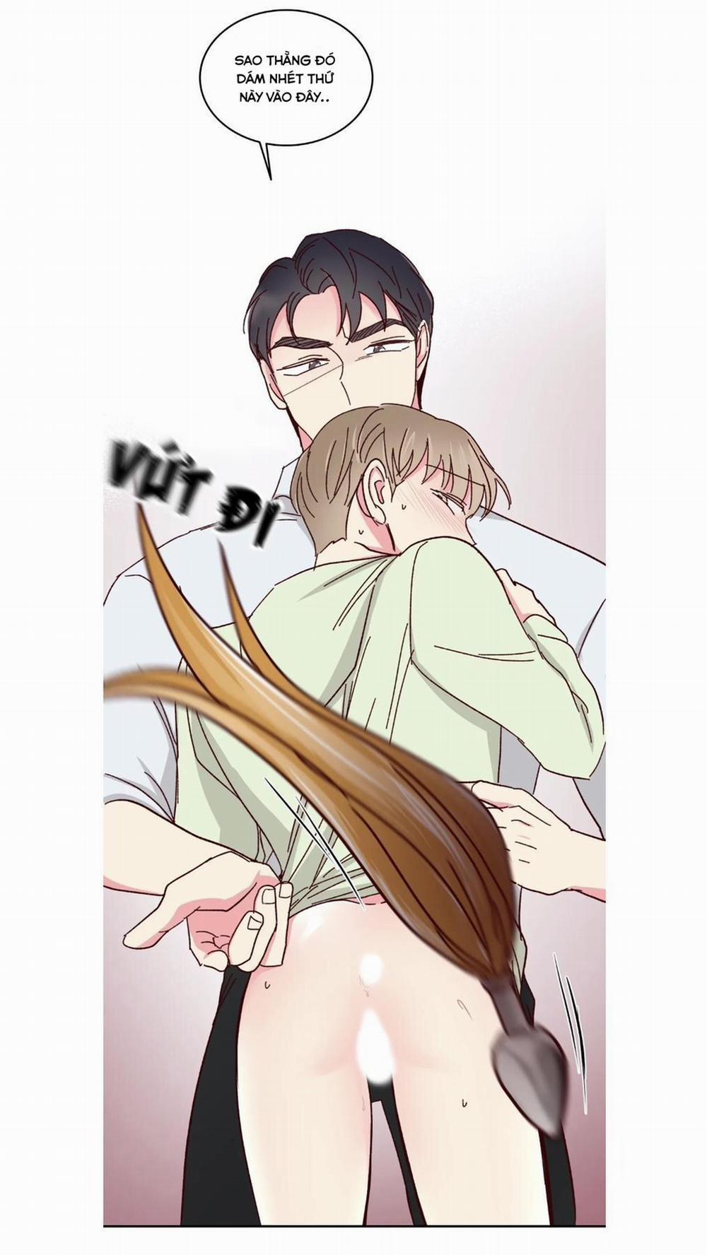 Món Tráng Miệng Của Sếp Tổng 59 trang 19