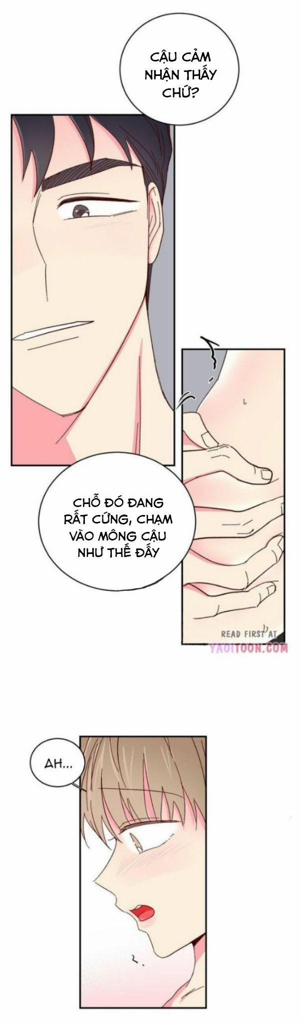 Món Tráng Miệng Của Sếp Tổng 61 trang 12