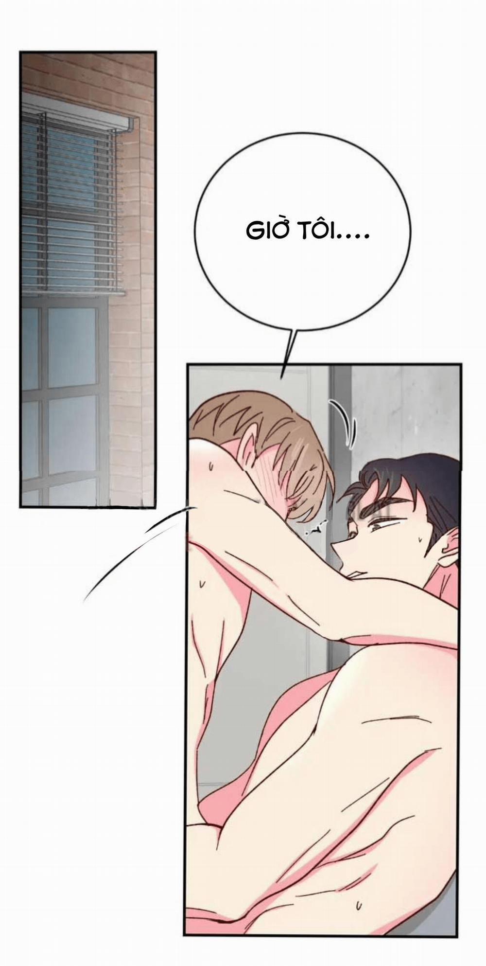 Món Tráng Miệng Của Sếp Tổng 63 trang 19