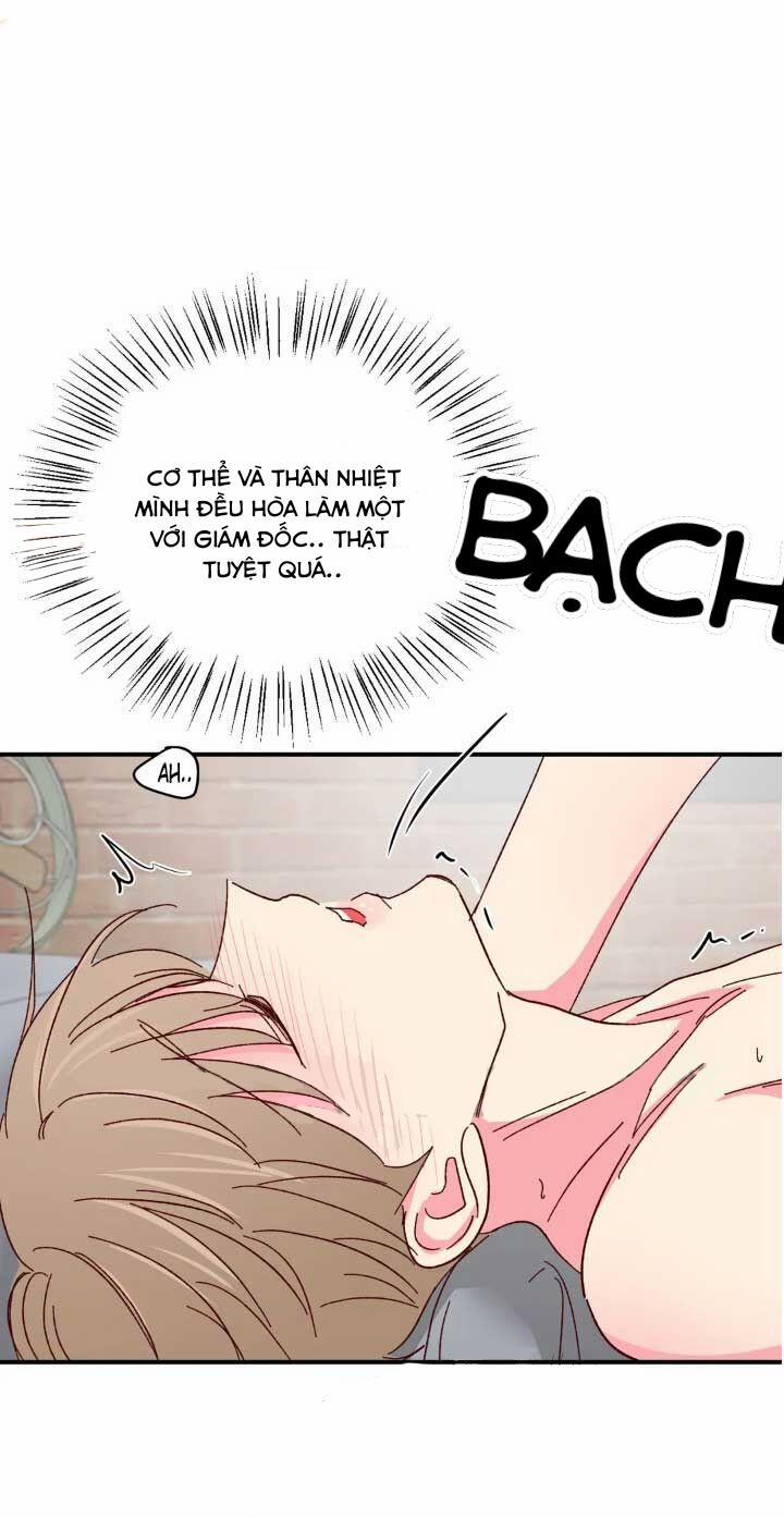 Món Tráng Miệng Của Sếp Tổng 63 trang 37