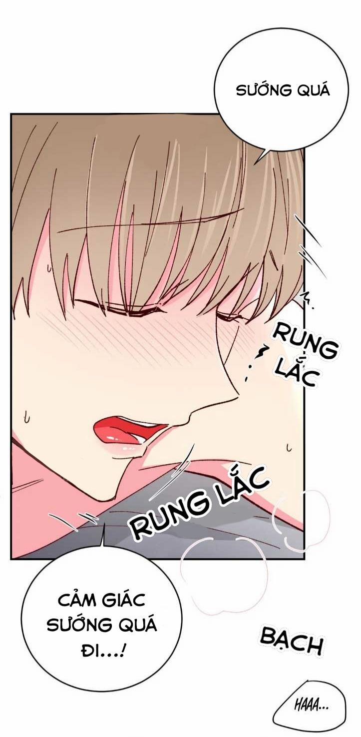 Món Tráng Miệng Của Sếp Tổng 63 trang 7