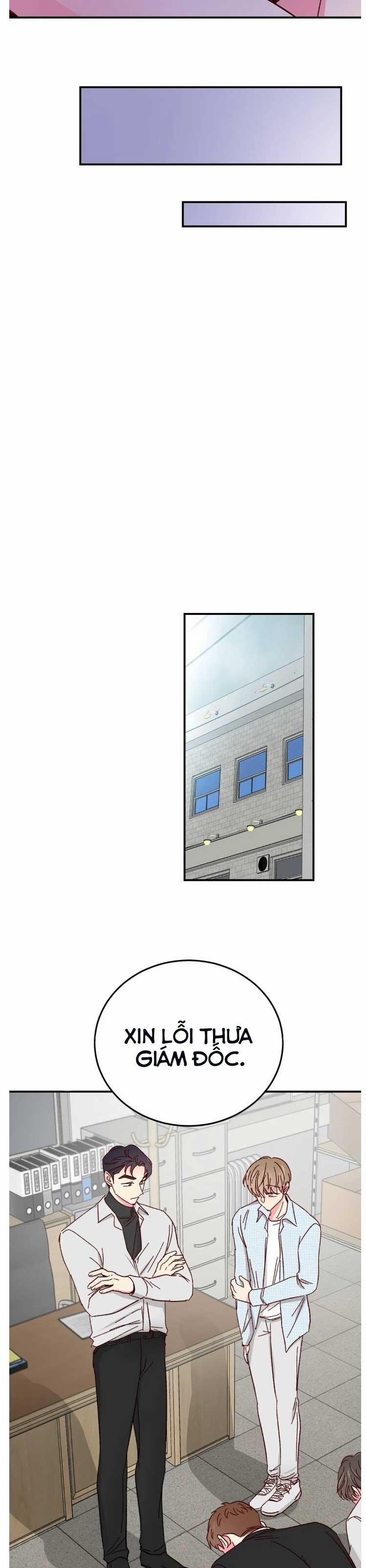Món Tráng Miệng Của Sếp Tổng 65 trang 9