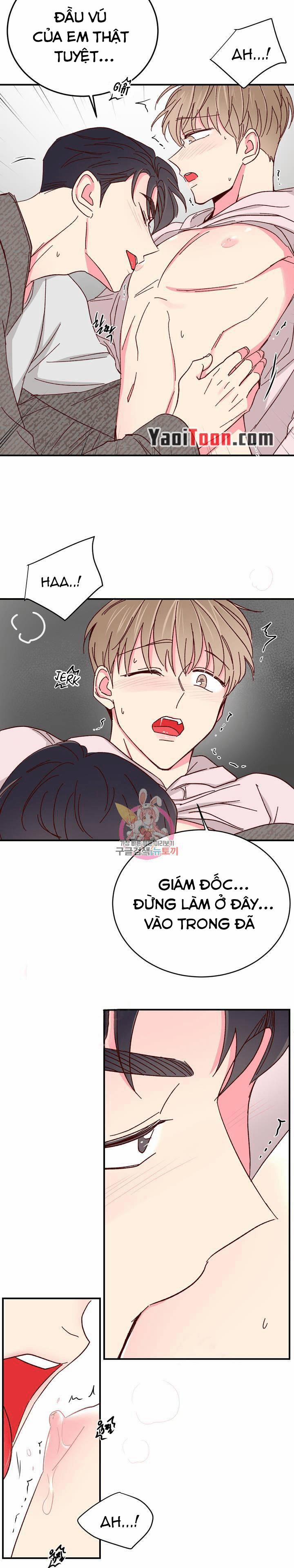 Món Tráng Miệng Của Sếp Tổng 68 trang 10