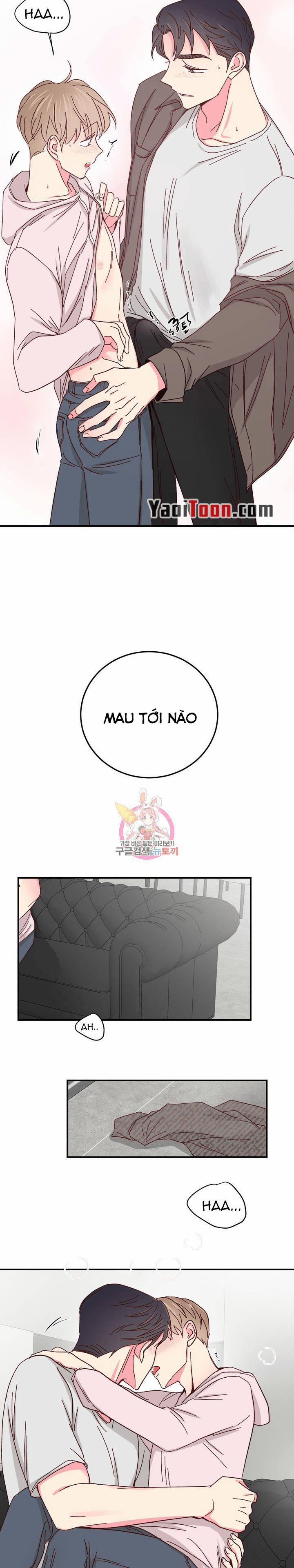Món Tráng Miệng Của Sếp Tổng 68 trang 13
