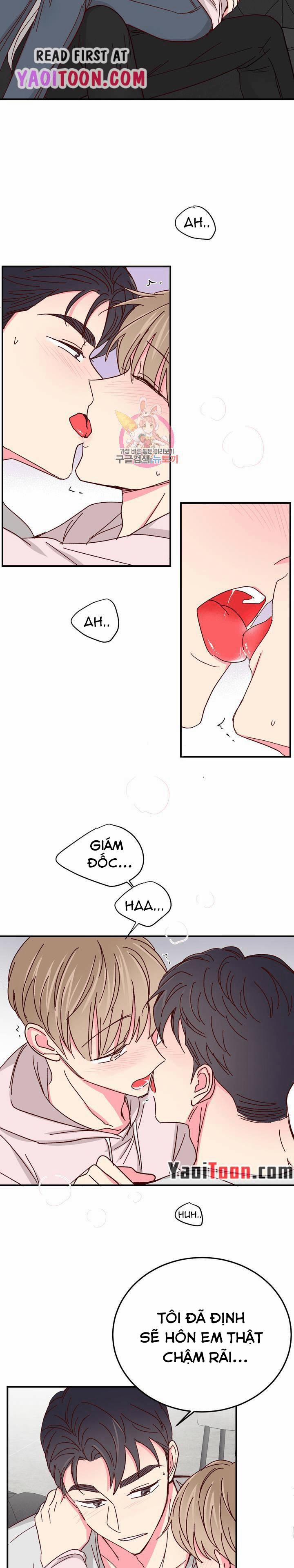 Món Tráng Miệng Của Sếp Tổng 68 trang 14