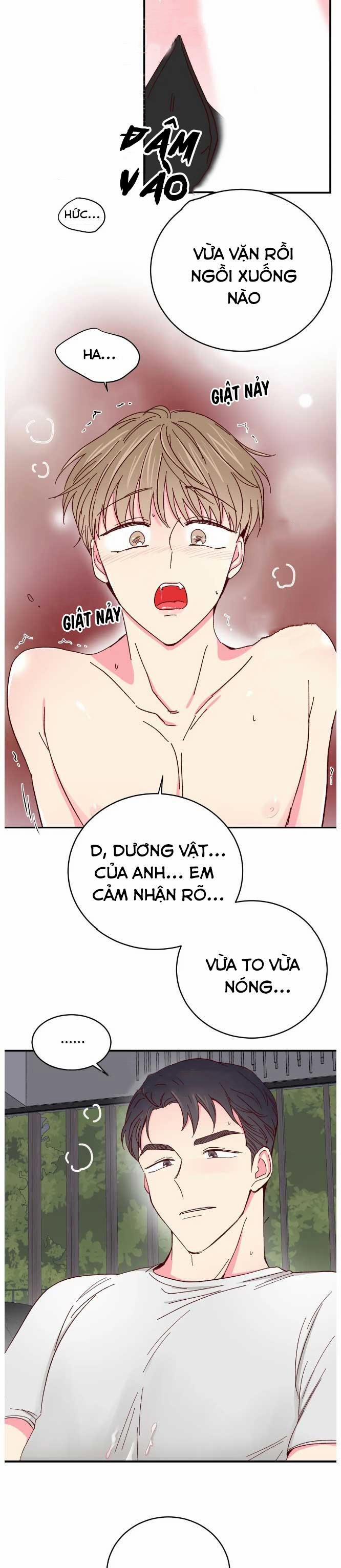 Món Tráng Miệng Của Sếp Tổng 69 trang 12