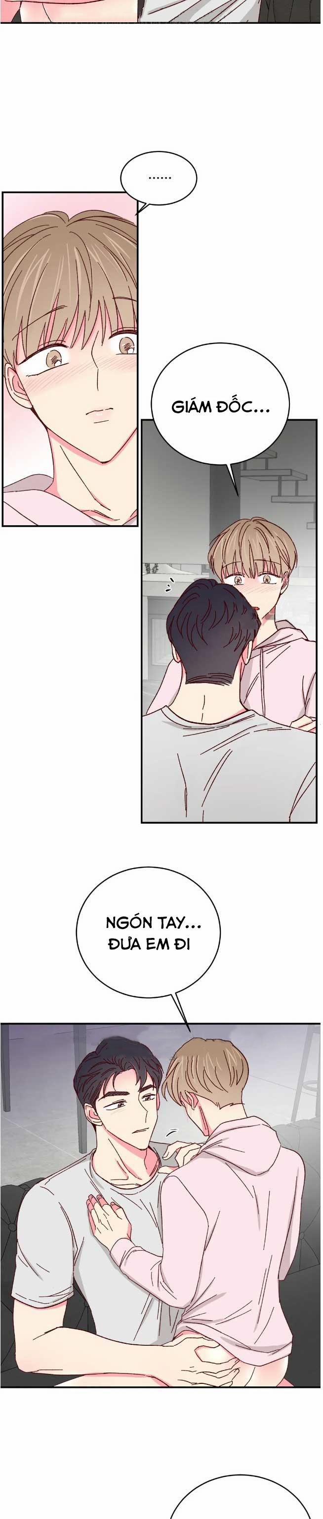 Món Tráng Miệng Của Sếp Tổng 69 trang 4