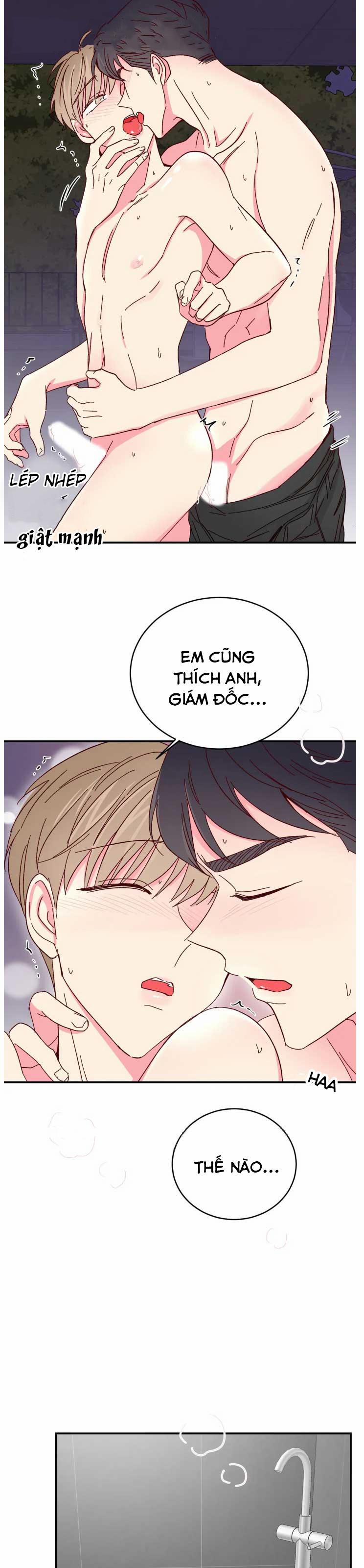 Món Tráng Miệng Của Sếp Tổng 70 trang 11