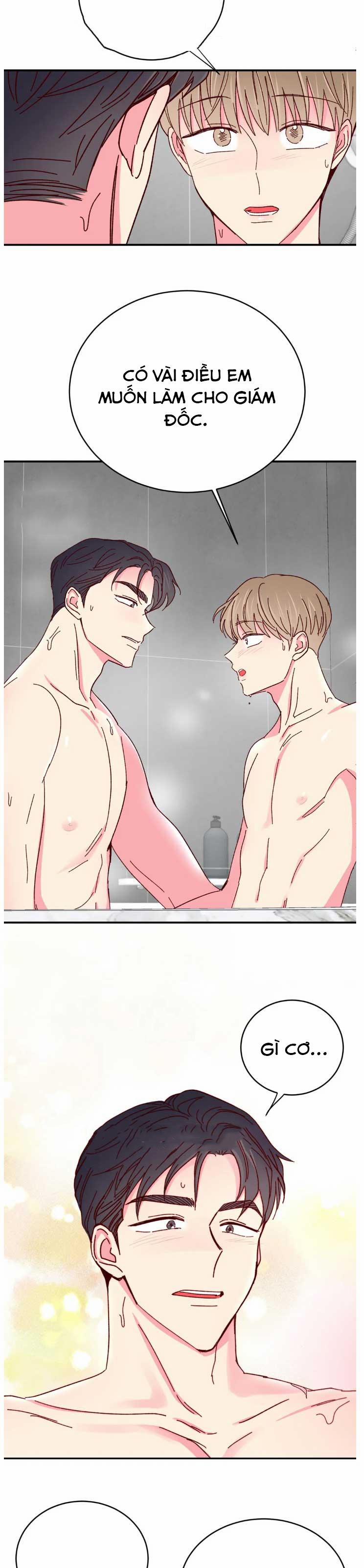 Món Tráng Miệng Của Sếp Tổng 70 trang 16