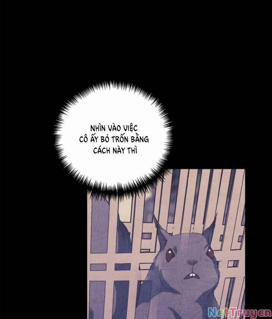 Mong Chờ Giây Phút Thiêng Liêng Được Chạm Tới Người 33.2 trang 4