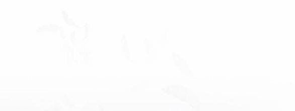 Mong Chờ Giây Phút Thiêng Liêng Được Chạm Tới Người 46.2 trang 71