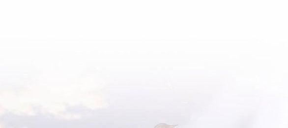 Mong Chờ Giây Phút Thiêng Liêng Được Chạm Tới Người 47.1 trang 8