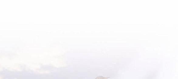 Mong Chờ Giây Phút Thiêng Liêng Được Chạm Tới Người 48 trang 7