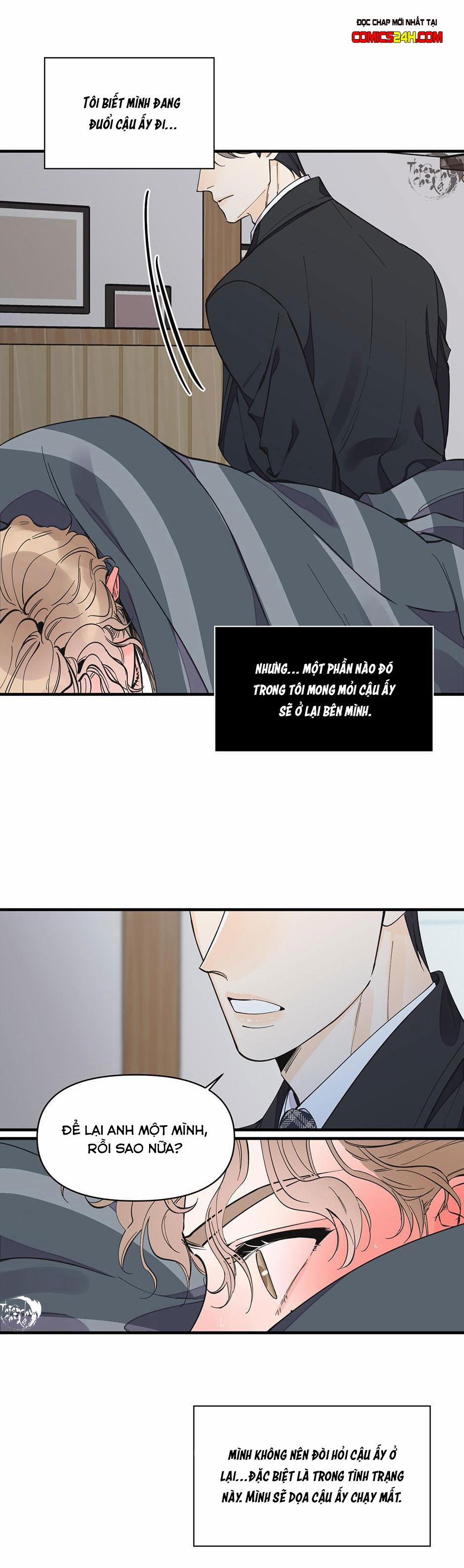 Mộng Tưởng 16 trang 12