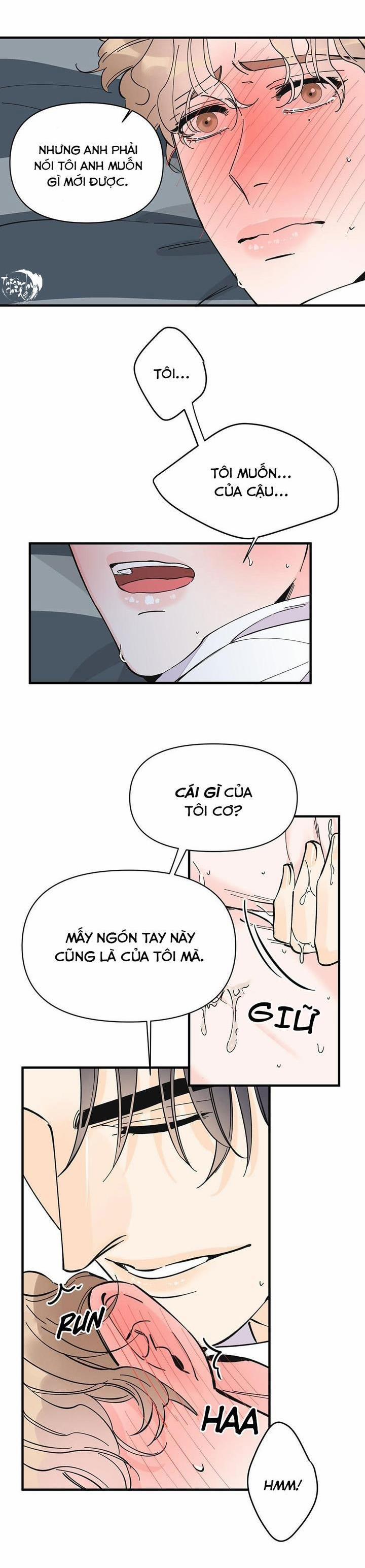 Mộng Tưởng 17 trang 17