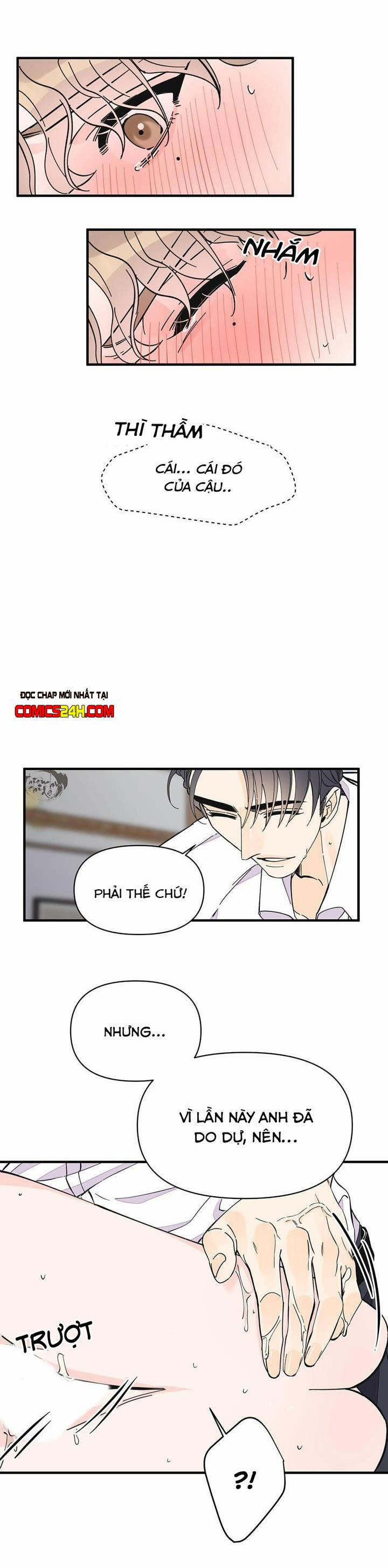 Mộng Tưởng 17 trang 18