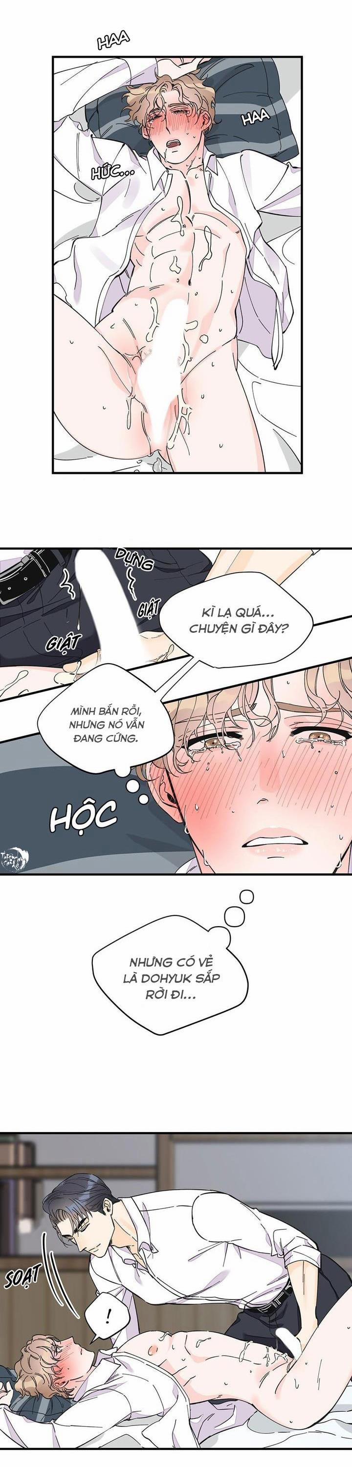 Mộng Tưởng 17 trang 5