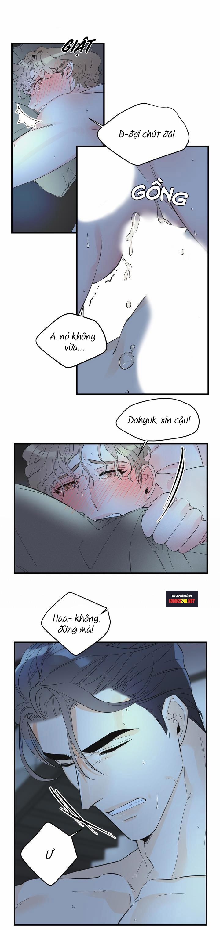 Mộng Tưởng 23 trang 14