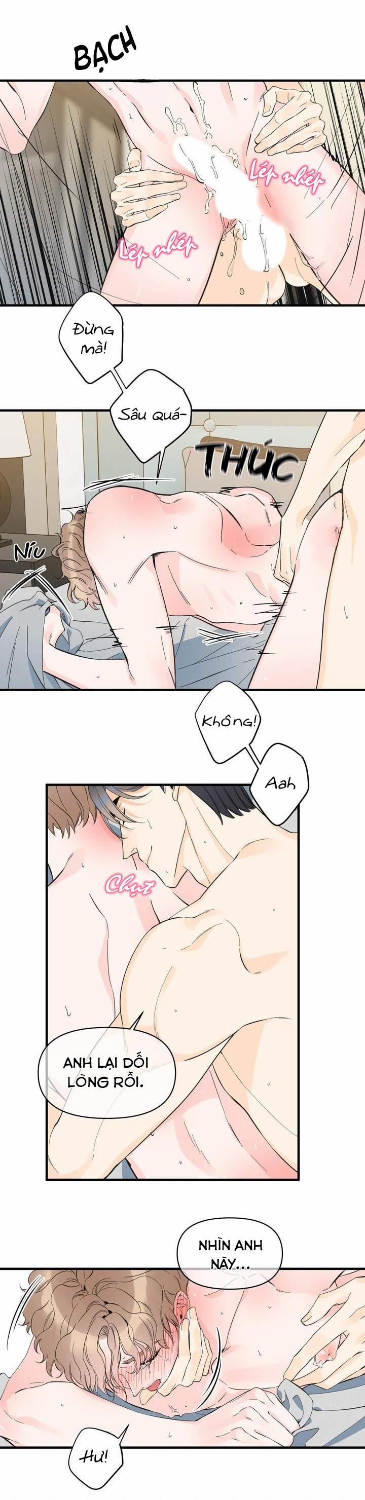 Mộng Tưởng 24 trang 8