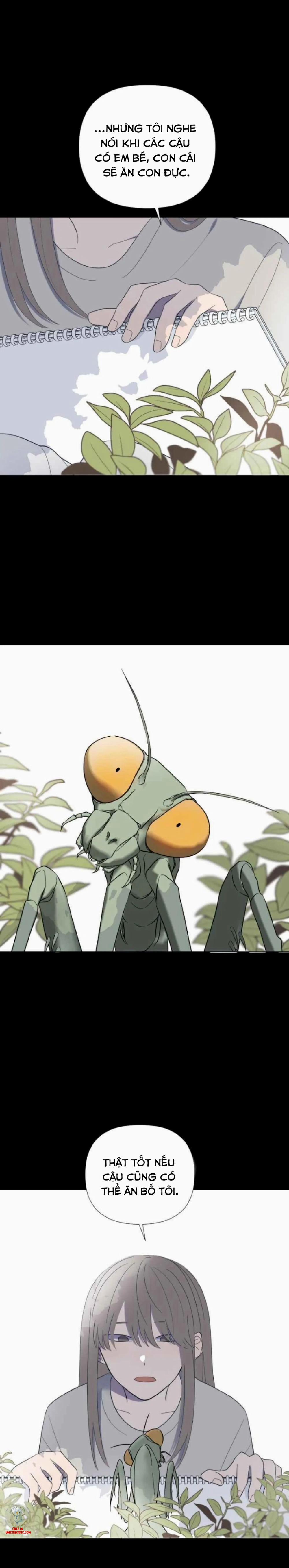 Moonchild 28 trang 21