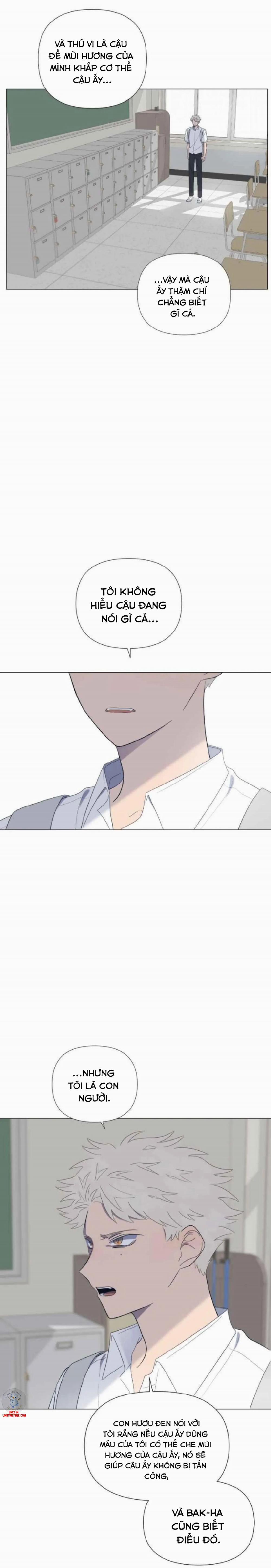 Moonchild 28 trang 4