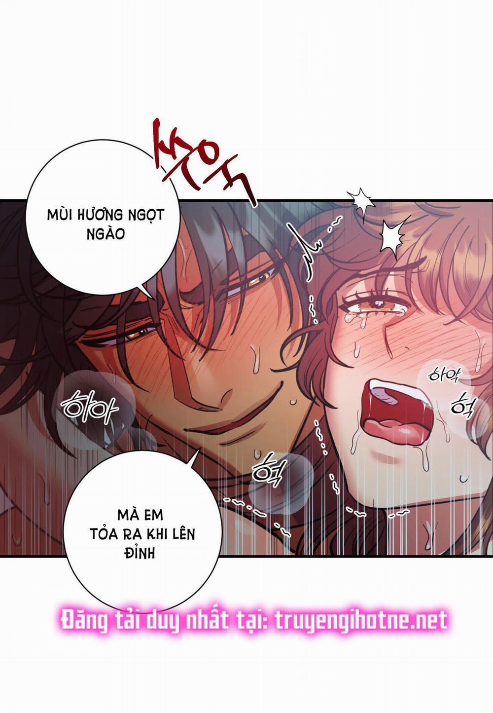 Một Lòng Một Dạ 51.2 trang 13