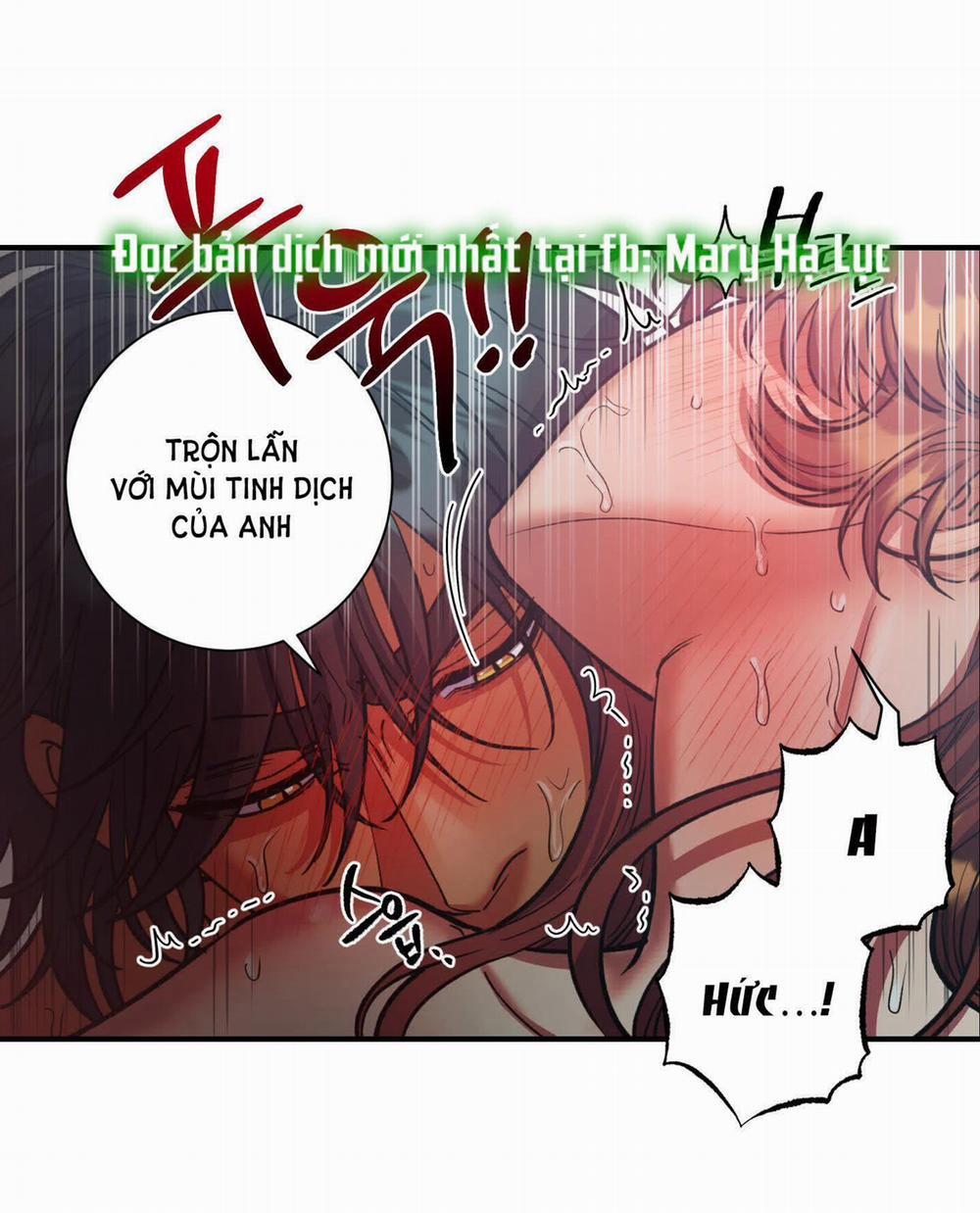 Một Lòng Một Dạ 51.2 trang 14