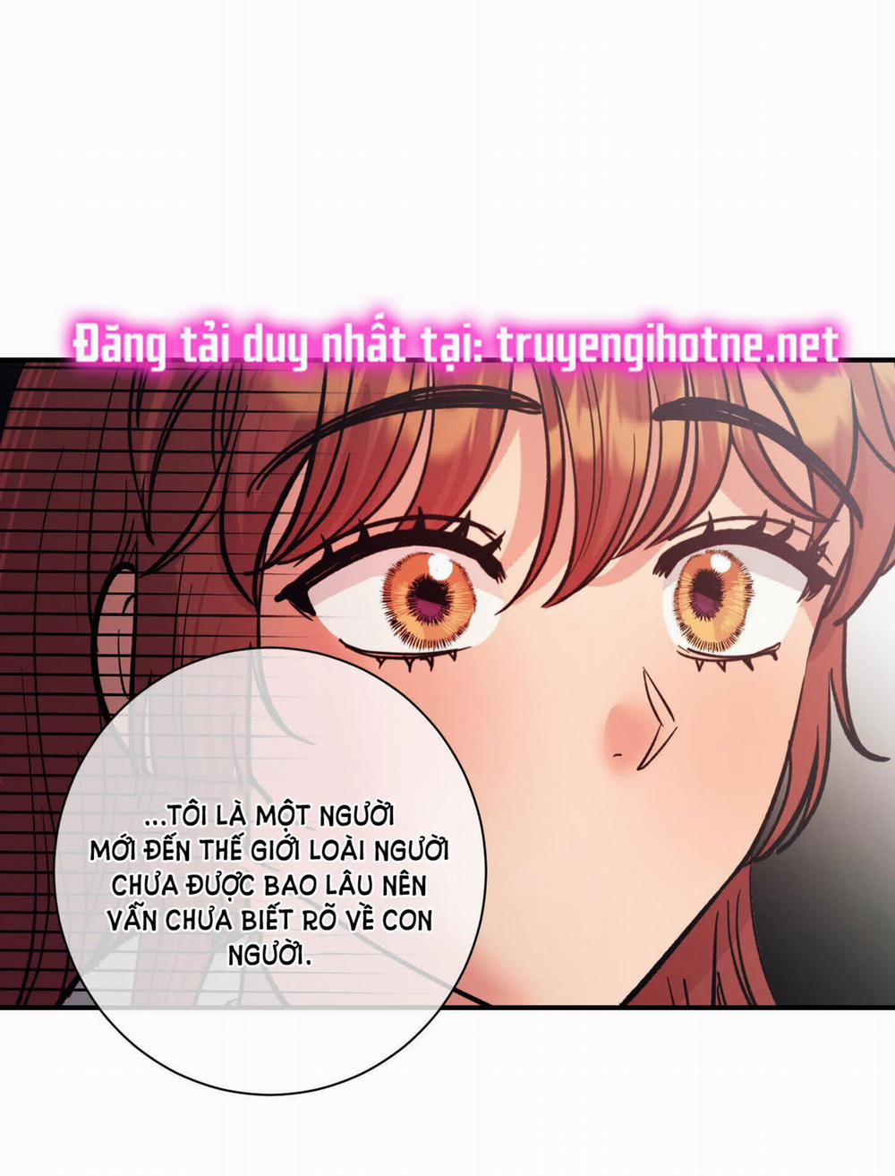 Một Lòng Một Dạ 52.2 trang 3