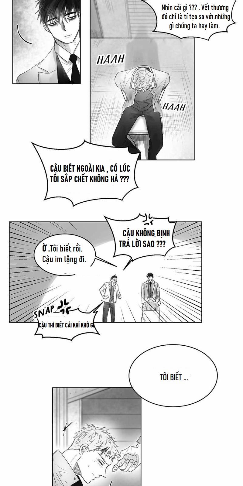 Một Ngàn Con Hạc Giấy 4 trang 13